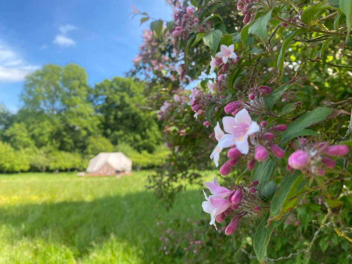 Green Glamping Sønderborg Dış mekan fotoğraf