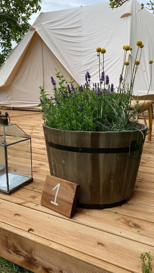 Green Glamping Sønderborg Dış mekan fotoğraf